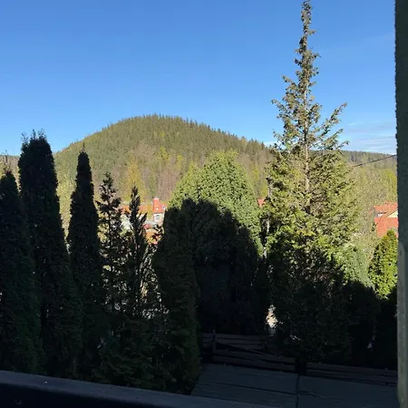 Guest house Gran 3*